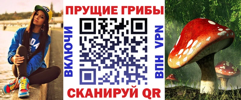 маркетплейс какой сайт Абдулино Псилоцибиновые грибы ЛСД